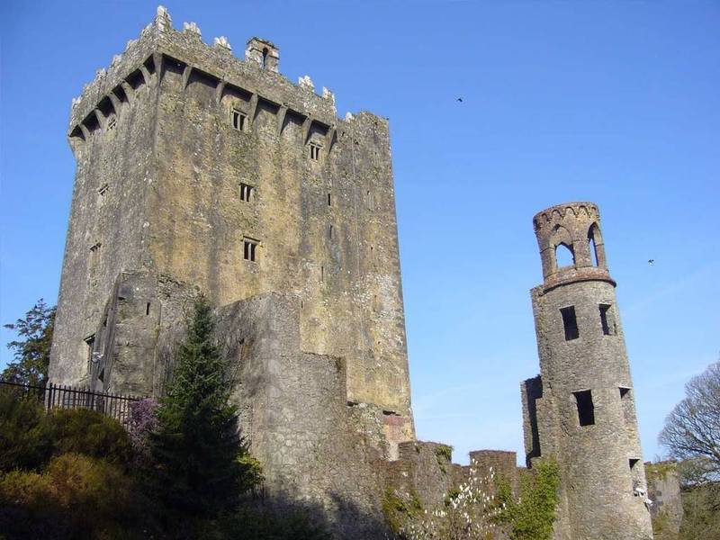 Self Catering Lodges At The Blarney Hotel & Golf Resort Exteriör bild