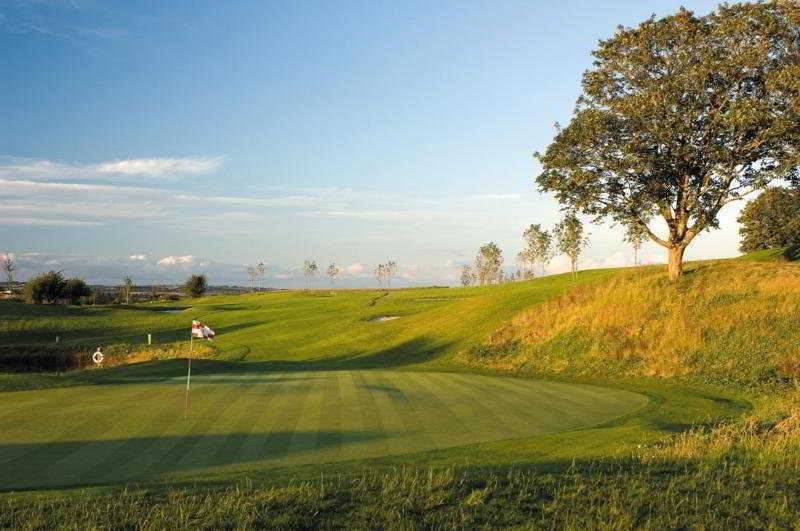 Self Catering Lodges At The Blarney Hotel & Golf Resort Bekvämligheter bild